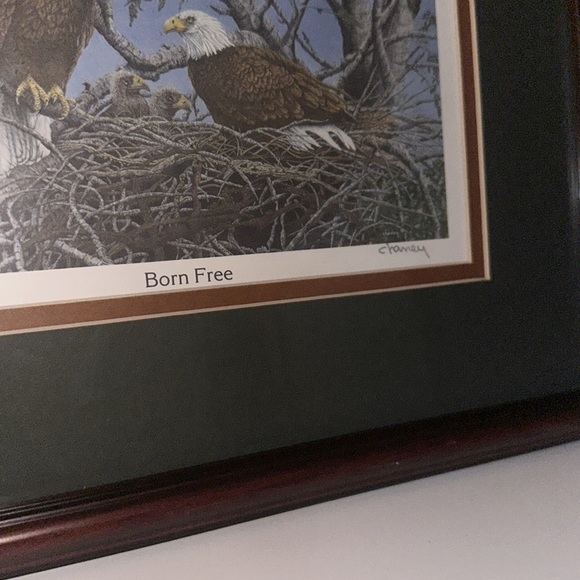 “Born Free” Framed Print 12.5 x 10 inches. Print size 6.75 x 4.5 inches. Signed - Picture 3 of 4